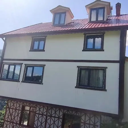 ÇAYKARA-NANAGA1883-Entire 1 Bedroom Flat with Balcony-Lake-Mountain View *