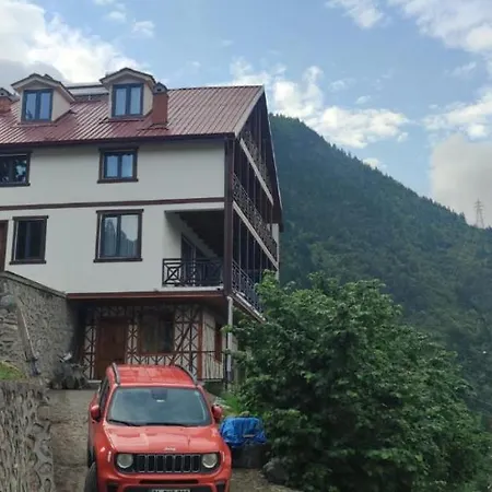 ÇAYKARA-NANAGA1883-Entire 1 Bedroom Flat with Balcony-Lake-Mountain View Villa *