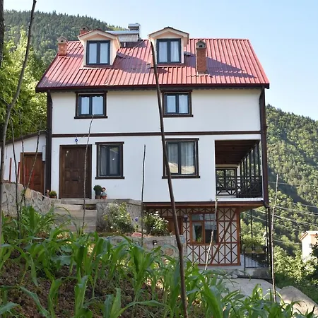 ÇAYKARA-NANAGA1883-Entire 1 Bedroom Flat with Balcony-Lake-Mountain View Villa *
